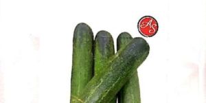 Hybrid Coriander Seeds