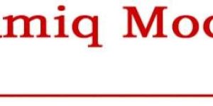 Balsamiq Mockups Online Certification Training Course