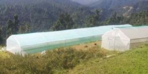 Agricultural Green Houses