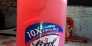 Floral Lizol Floor Cleaner