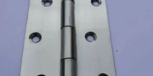 5 Inch SS Butt Hinges