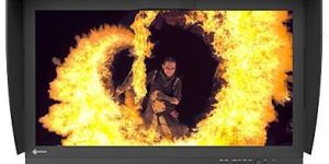 Eizo cg3146 LED Monitor