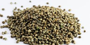 Hemp Whole Seeds