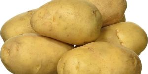 Fresh Potato