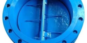 Dual Plate Check Valve