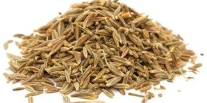 Cumin Seeds