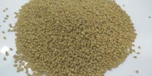 Fenugreek Seeds