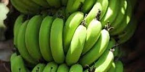 Green Banana