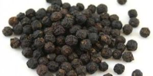 Black Pepper
