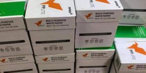 PP Lite 70 GSM Paper