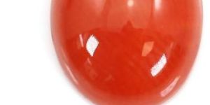 Oval Coral Cabochons Stone