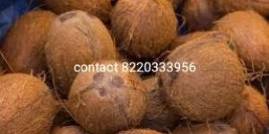 Coconut