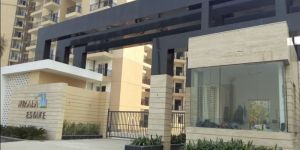 Real Estate Consultancy