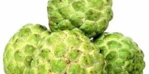 Fresh Custard Apple