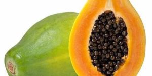 Fresh Papaya