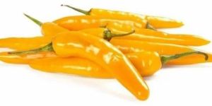 Fresh Yellow Chilli