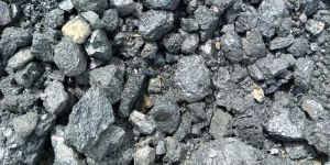 Assam Coal