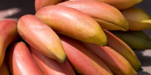 Red Banana