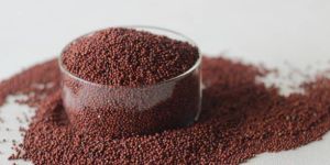 Finger Millet