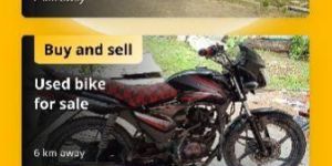 Classified Ads Services