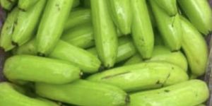 Green Banana