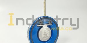 Cast Iron Wafer Type Check Valve PN10