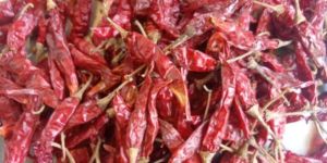 Dry Red Chilli