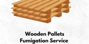 Fumigated Wooden Pallet