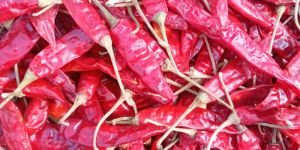 Teja Dry Red Chilli