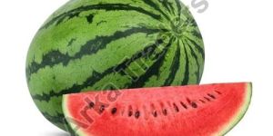 Fresh Watermelon