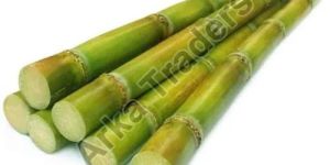 Natural Sugarcane