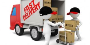 International Courier Services