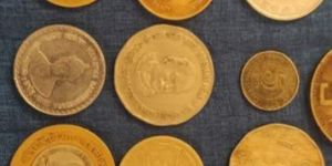 Commemorative Indian Coin