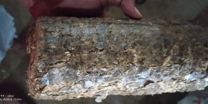 Biomass Briquettes