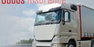 Goods Insurance Service