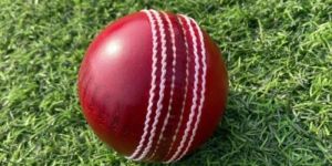 Leather Cricket Balls