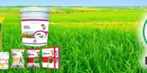 Mop Potash Fertilizer