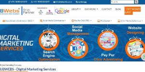 Seo Service Provider