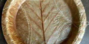 Areca Leaf Plate