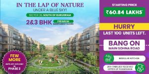 Real Estate Consultants