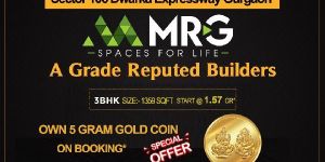 Real Estate Development