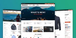 Ecommerce Development Services