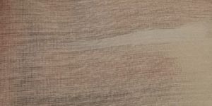 Muga Silk