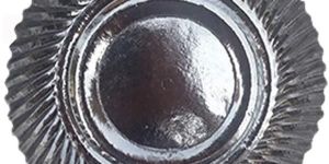 Disposable Paper Plates