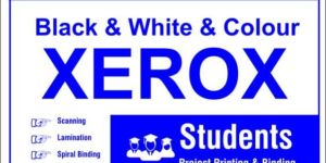 Brochure Printing Services