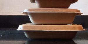 Areca Leaf Food Containers