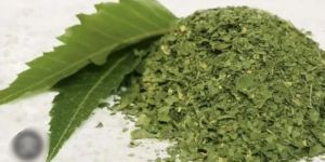 Neem Powder