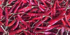 Dry Red Chilli