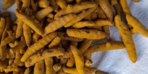 Turmeric Finger