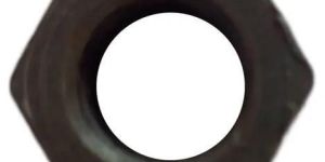 MS Hex Nut